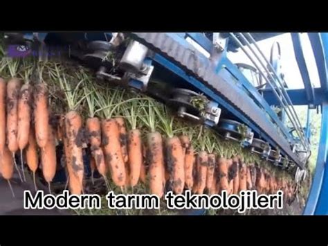 Yenilikçi Tarım Teknikleri: Modern Çiftçilik Yaklaşımları